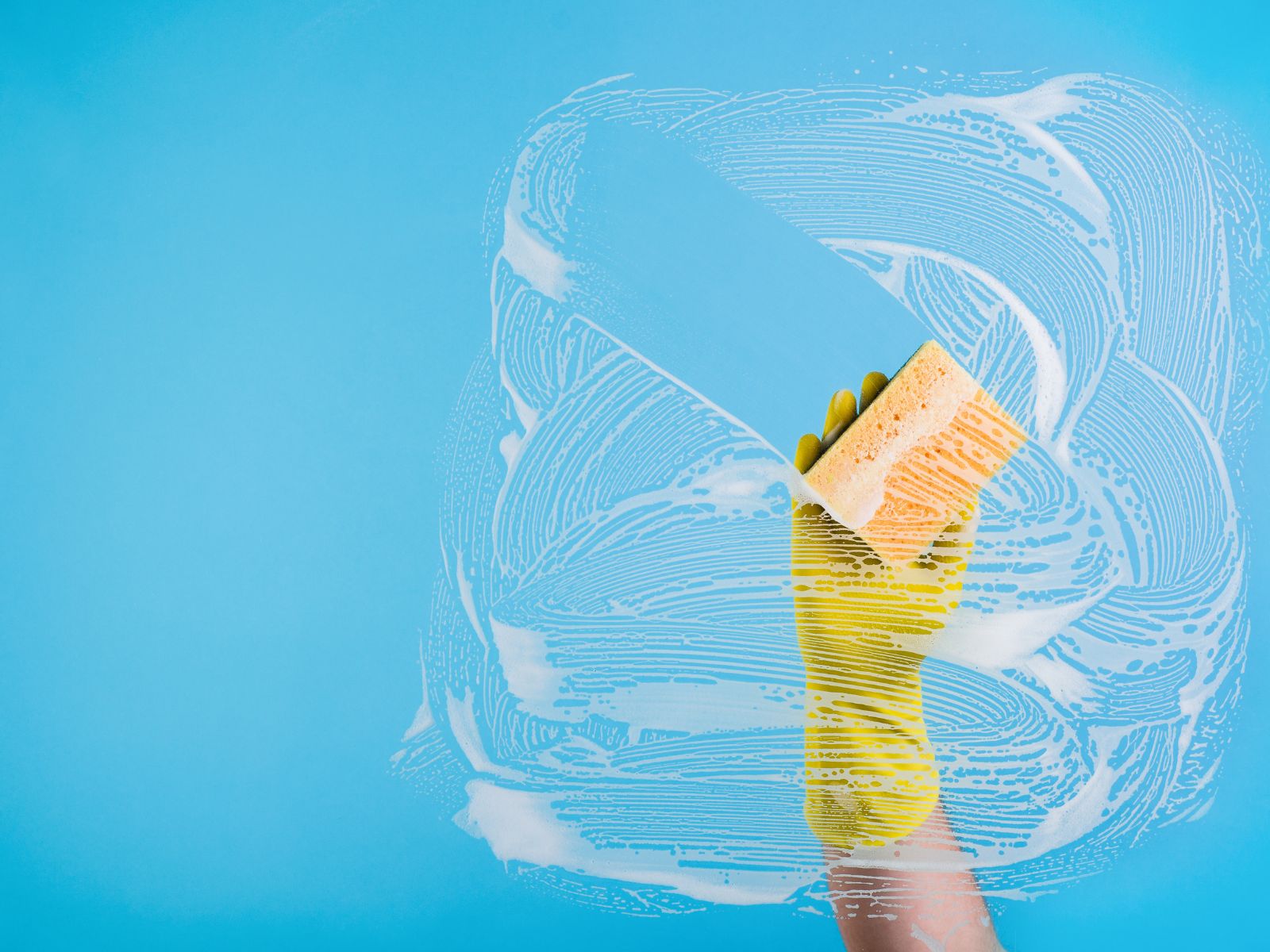 Do cleaners handle pet hair removal?